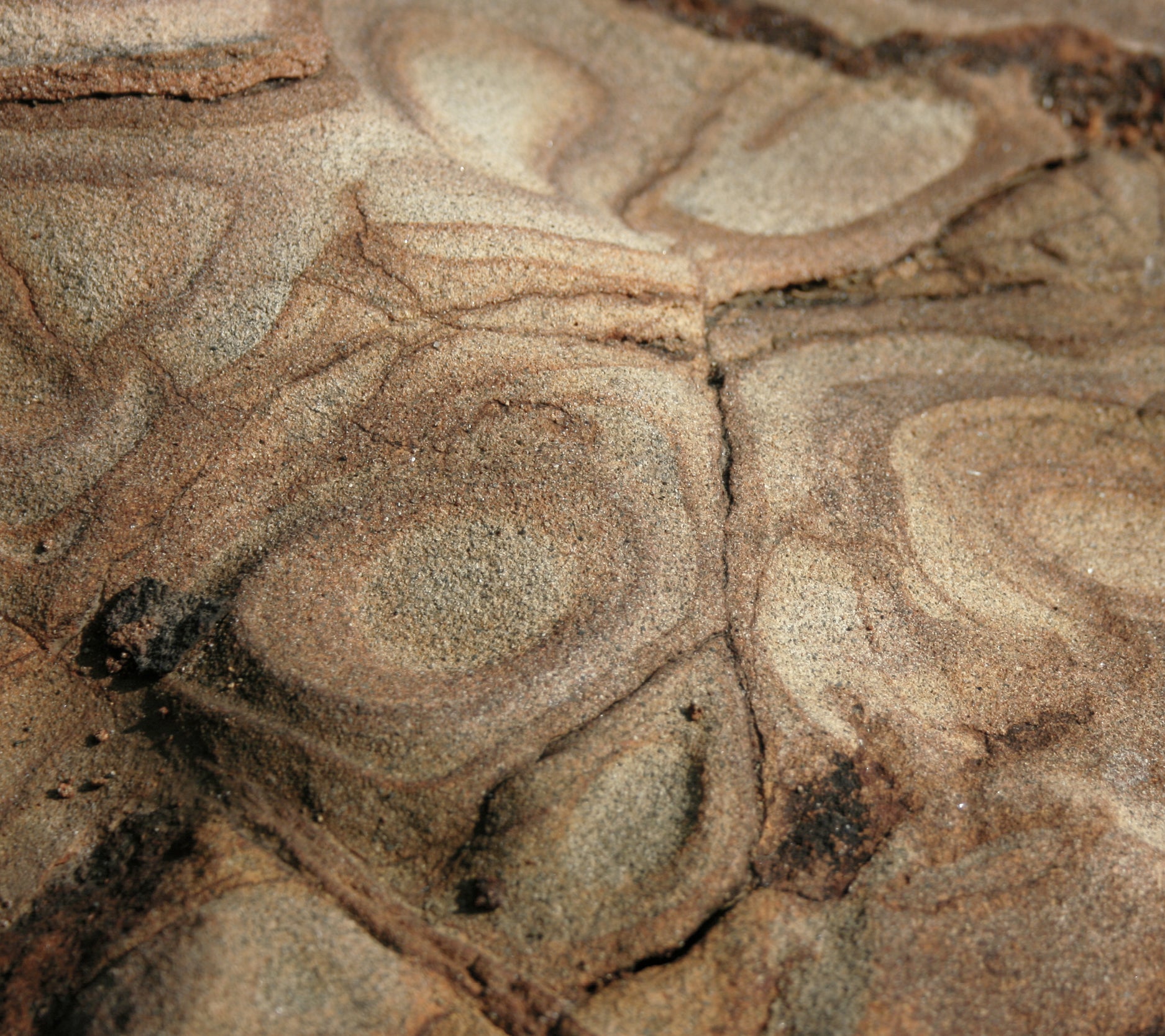 3 session new client intro deal - save over $250!