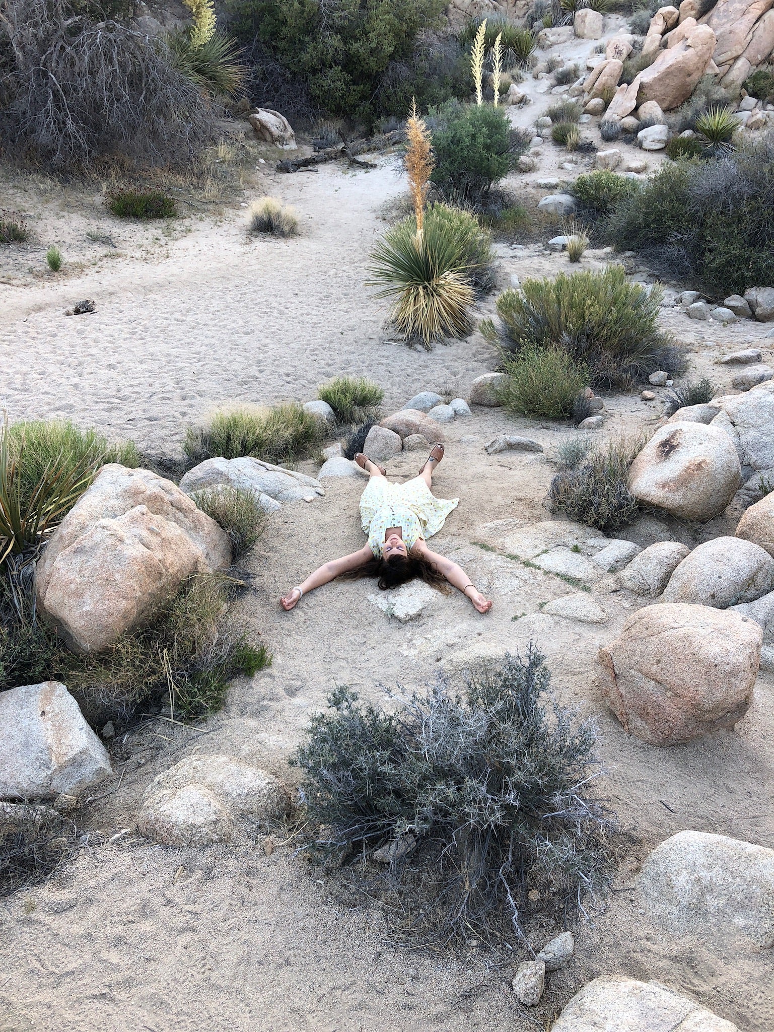Finding safety in times of stress