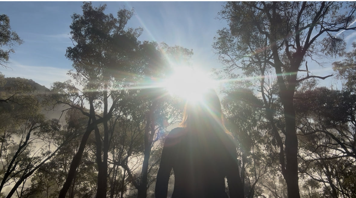 Connection with identity - action in integrity
